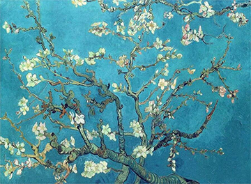 van Gogh: Almond Blossom, 1890