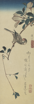Image of print