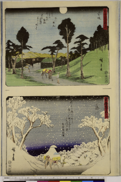 Image of print